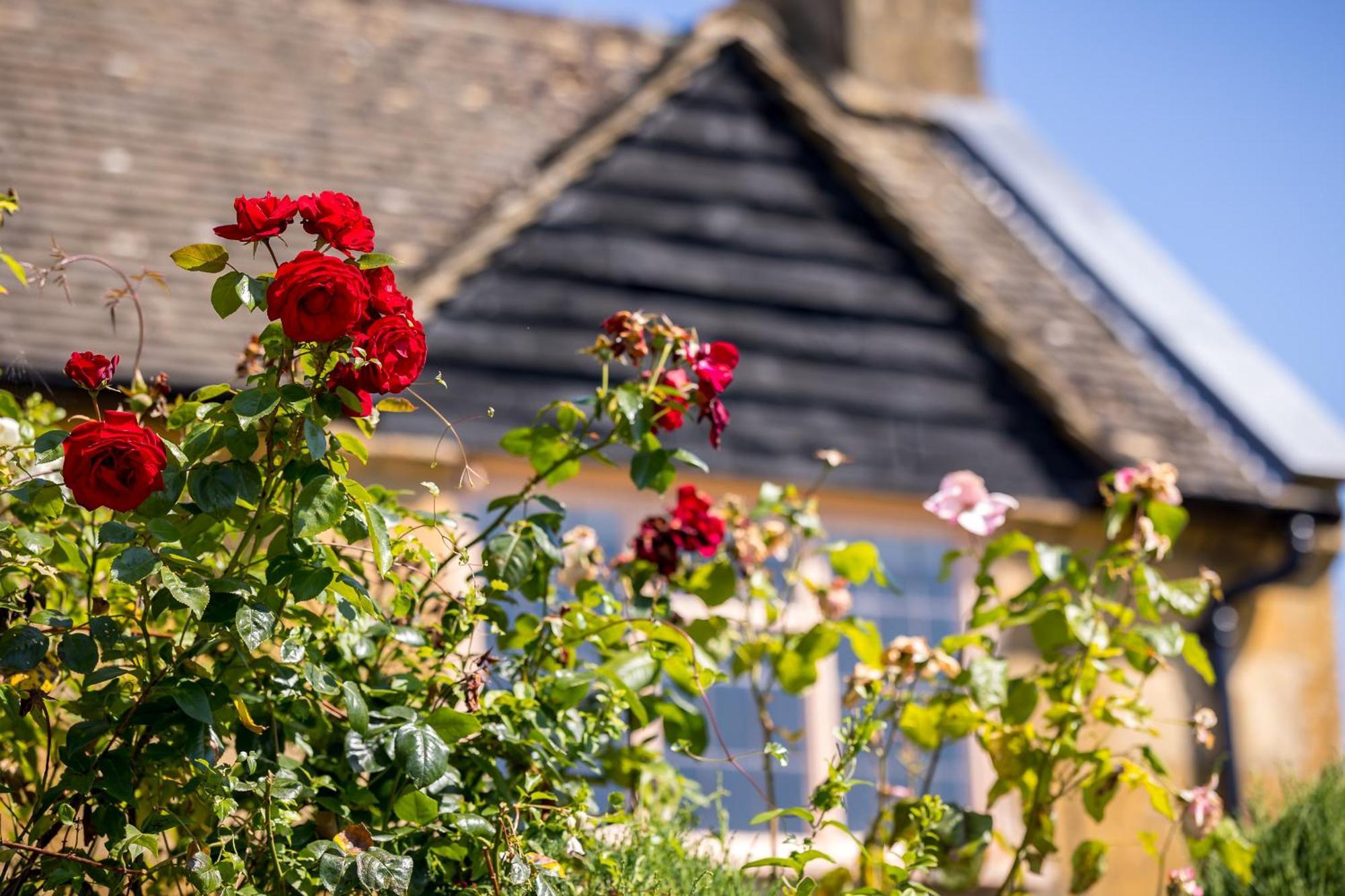 Broadway Scandi Chic Authentic Cottage エクステリア 写真
